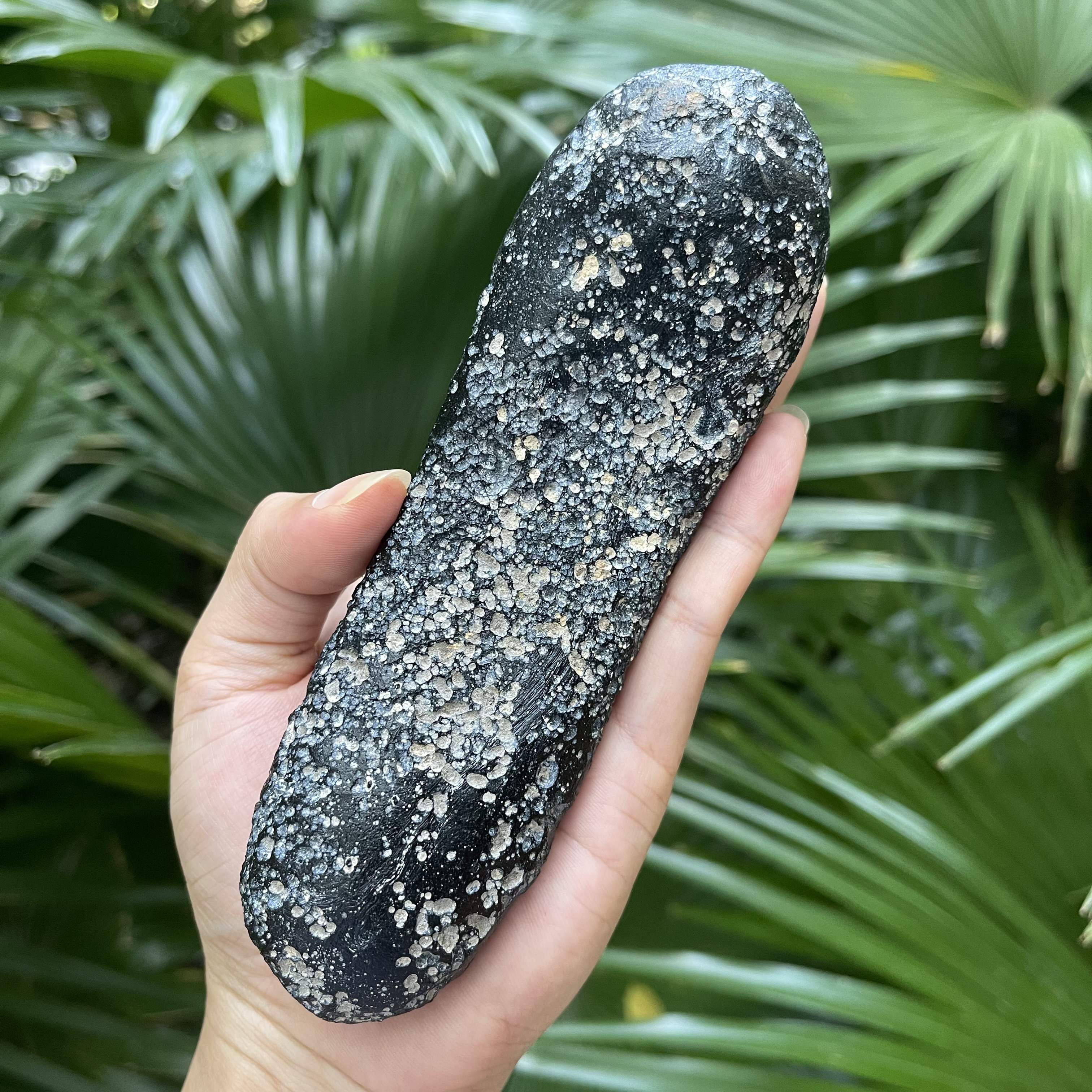 如意形状的玻璃陨石雷公墨大长条